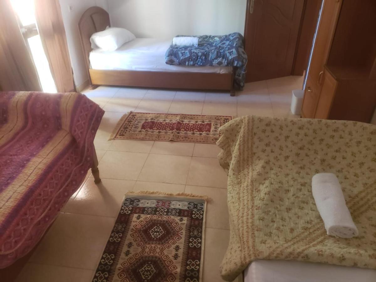 Hostel Split Rock Tirana Zewnętrze zdjęcie