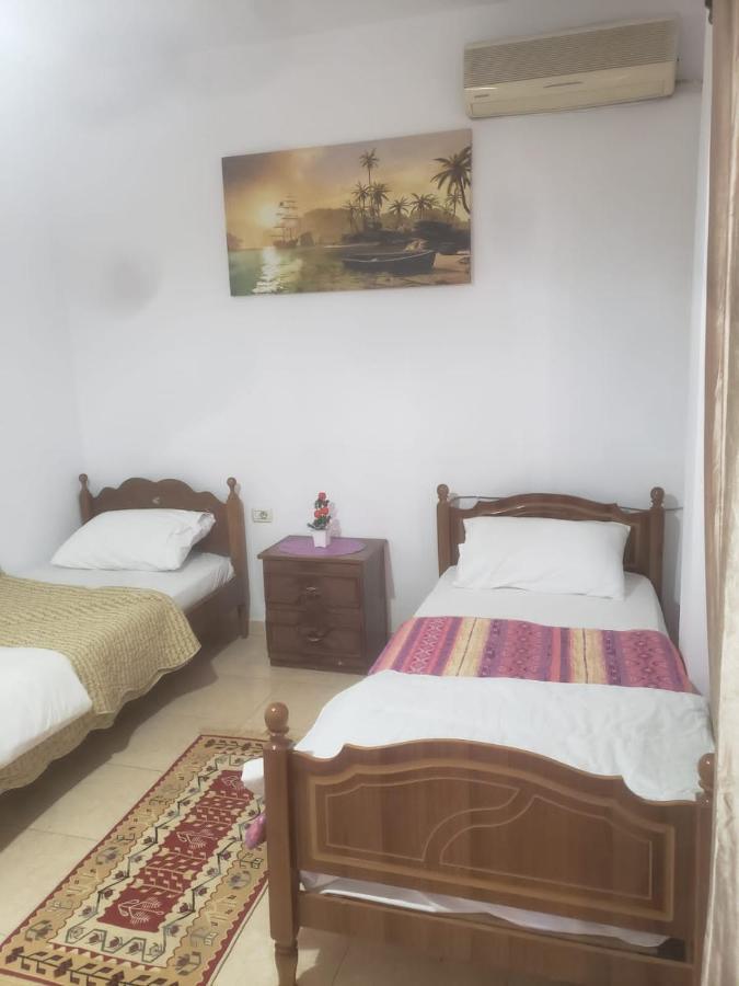Hostel Split Rock Tirana Zewnętrze zdjęcie